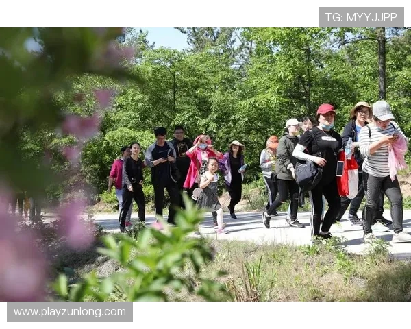 探秘凯时体育游戏登录的多样化玩法,尽享乐趣与刺激 探秘凯时体育游戏登录的多样化玩法,尽享乐趣与刺激